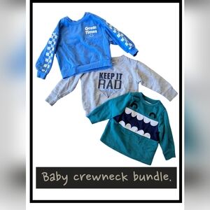 Baby Crewneck Sweatshirt Bundle.